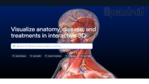 pc android C贸mo usar correctamente la p谩gina web de Biodigital Human