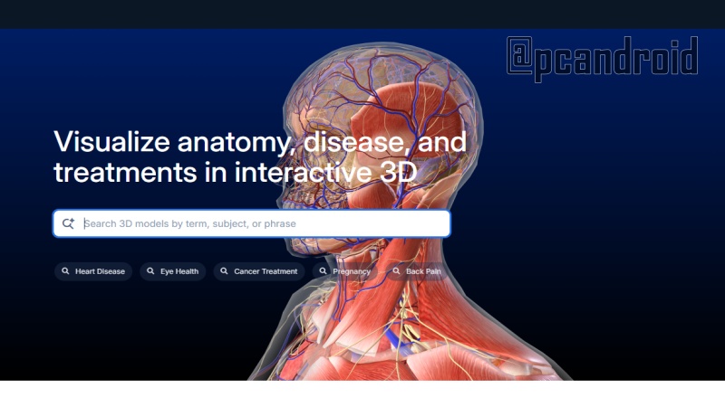 Cómo usar correctamente la página web de Biodigital Human Cómo usar correctamente la página web de Biodigital Human y sacarle todo el provecho