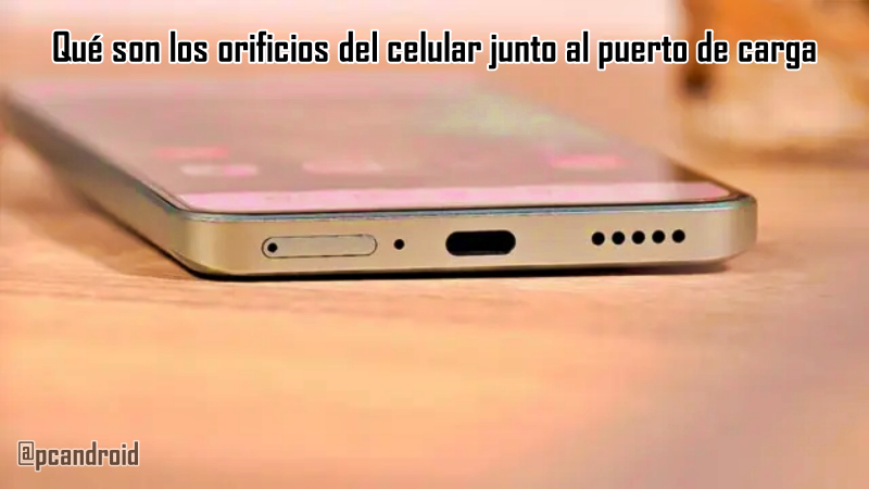 Los orificios del celular junto al puerto de carga Los orificios del celular junto al puerto de carga