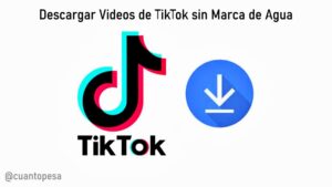 pc android C贸mo Descargar Videos de TikTok sin Marca de Agua